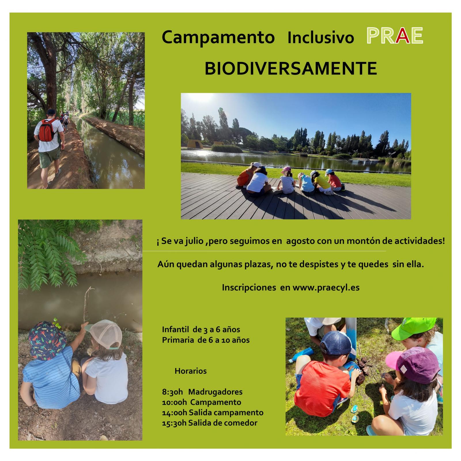 Agosto viene cargado de actividades Campamento  inclusivos del PRAE 2022